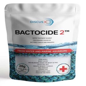 DiscusX Bactocide 2- 20g (Effective Against Internal Infections)