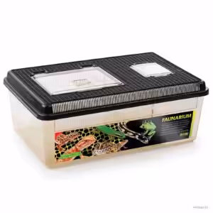 Exo terra (Large) Small Pals/ Flat Home